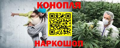трава Бийск