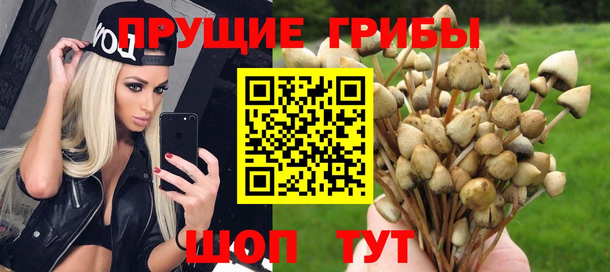 Белореченск  Галлюциногенные грибы GOLDEN TEACHER  Вход с VPN 